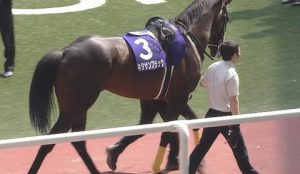 【競馬】キタサンブラックの清水調教師ってもしかして有能なの？