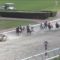 【競馬】三浦、落馬で重傷