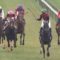【競馬】エイシンフラッシュ種牡馬大失敗