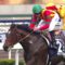 【競馬】吉田代表「モーリス産駒で凱旋門賞を獲る。モーリスは社台SSの王」