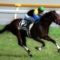 【競馬】今年武豊47歳だがアンカツの47歳の年の成績wwwwww
