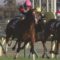 【競馬/NHKマイルC】モンドキャンノ旨すぎワロタwwww