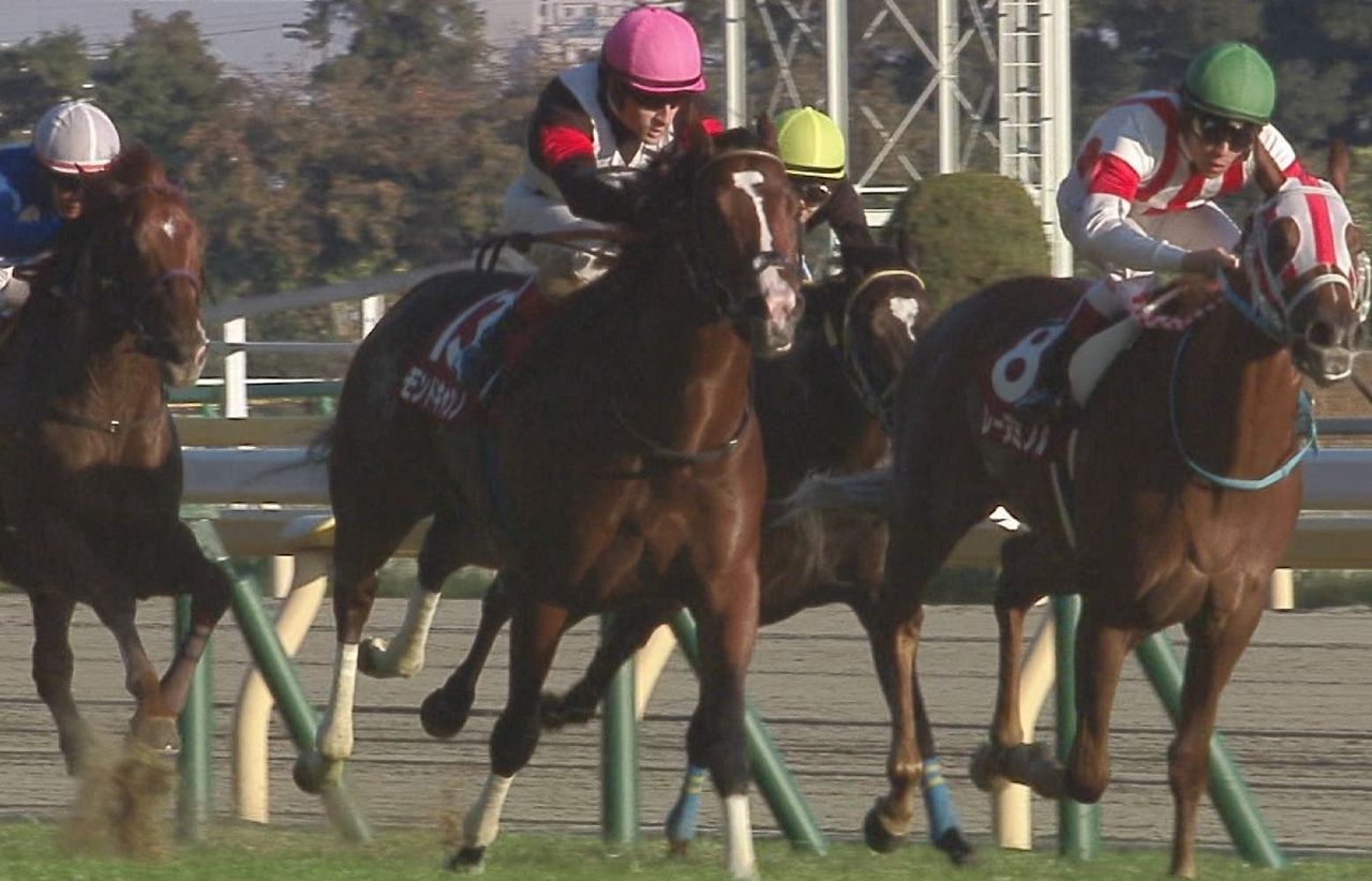 【競馬/NHKマイルC】モンドキャンノ旨すぎワロタwwww 【競馬/NHKマイルC】モンドキャンノ旨すぎワロタwwww