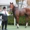 【競馬】フラガラッハ高倉、マジェスティハーツ森、ヤマニンボワラクテ藤懸