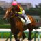【競馬】ポルトフォイユ　シルバーステート　フォイヤーヴェルグ『俺たちを忘れるな』
