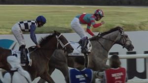 【競馬】ラニ秋の目標は菊花賞か？ベルモントS後は帰国