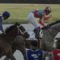 【競馬】ラニ秋の目標は菊花賞か？ベルモントS後は帰国