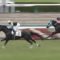 【競馬】3歳未勝利デビュー勝ち、シャケトラ強すぎwww