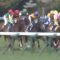 【競馬】桜花賞断トツ人気確実のソウルスターリングに死角があるとすれば…