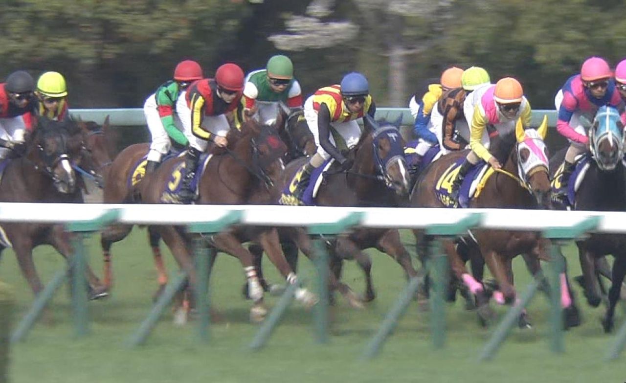 【競馬】桜花賞断トツ人気確実のソウルスターリングに死角があるとすれば… 【競馬】桜花賞断トツ人気確実のソウルスターリングに死角があるとすれば…