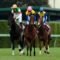 【競馬】エアスピネルだけは誰も批判しない