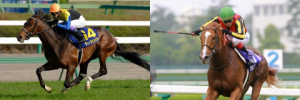 【競馬】キタサンブラックてディープインパクト、オルフェーヴルに勝てると思う？