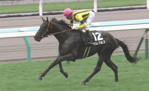 【競馬】ウムブルフ強すぎワロタ＠札幌日刊スポーツ杯