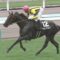 【競馬】ウムブルフ強すぎワロタ＠札幌日刊スポーツ杯