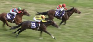 【競馬】モーリス日豪合わせて386頭に種付け 【競馬】モーリス日豪合わせて386頭に種付け