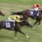 【競馬】モーリス日豪合わせて386頭に種付け