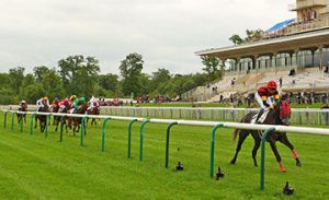【競馬】エイシンヒカリのライバルが次々と回避してく現象がおこる