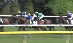 【競馬/日本ダービー】ディーマジェスティ・蛯名の位置取りはあれで良かったのか? 【競馬/日本ダービー】ディーマジェスティ・蛯名の位置取りはあれで良かったのか?