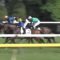 【競馬/日本ダービー】ディーマジェスティ・蛯名の位置取りはあれで良かったのか？