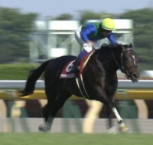 【競馬】全ダービートライアル終了、今の所の本命を書くスレ