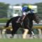 【競馬】全ダービートライアル終了、今の所の本命を書くスレ