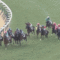 【競馬】武豊、川田をブロック