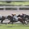 【競馬】浜中って怪我以降地味に劣化してね？
