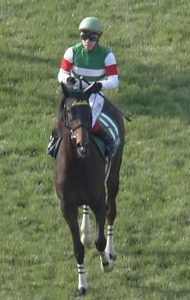 【競馬】池添って福永より全然上手いのでは