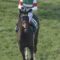 【競馬】池添って福永より全然上手いのでは