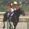 【競馬】今考えると何でロゴタイプってモーリスに勝てたんだ？