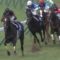 【競馬】キタサンブラック最終追いで条件馬に遅れ。調整失敗か