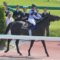 【競馬】ボロ負けしてるヤツは福島最終の菜七子を信じろ！