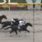 【競馬】藤田菜七子追えなさすぎだろｗｗｗｗｗ