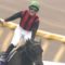 【競馬】エイシンフラッシュはなぜゆえ種牡馬失敗したのか