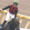 【競馬】ＪＲＡ、１７年から外国人騎手の短期免許の基準シビアに