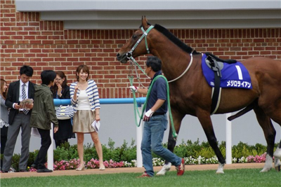 【競馬】[画像] ドゥラメンテにメガネをぶっ飛ばされる堀調教より面白い画像を貼ったやつが神