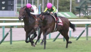【競馬】神戸新聞杯の思い出