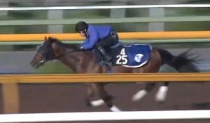 【競馬】池江厩舎、プロフェットが毎回サトノダイヤモンドにボコられてるけどこいつダービー出す意味あんの？