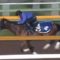 【競馬】池江厩舎がガチでサトノダイヤモンドを仕上げにかかってる件