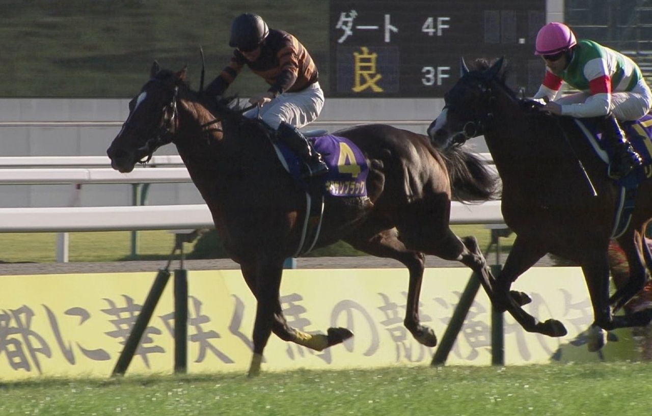 【競馬】キタサンブラックのベストレースって何? 【競馬】キタサンブラックのベストレースって何?