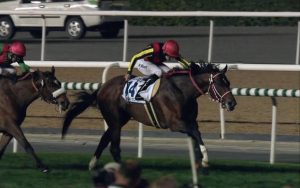 【競馬/ドバイターフ】リアルスティールはスミヨンとの新コンビが決定