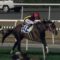 【競馬】リアルスティールは鞍上デットーリでドバイへ