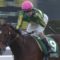 【競馬】今年のルメール重賞で1人気9回、2人気7回、3人気8回乗って4勝しかしてないんだけど・・・