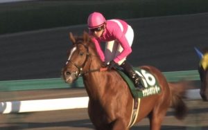 【競馬】サクラメガワンダー 種牡馬に復帰か