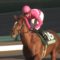 【競馬】サクラメガワンダー 種牡馬に復帰か