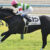 【競馬】リオンディーズも神戸新聞杯から始動、サトノダイヤモンド、エアスピネルとの3強対決へ! 【競馬】リオンディーズも神戸新聞杯から始動、サトノダイヤモンド、エアスピネルとの3強対決へ!