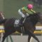 【競馬】サトノアラジン 香港マイル最後に引退。池江師「有終の美を」