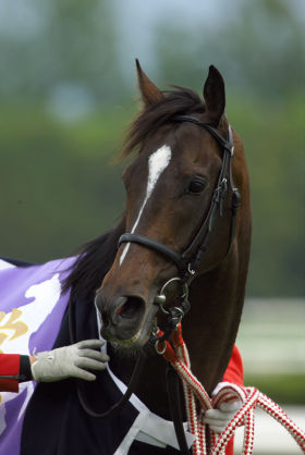 【競馬】武豊「キタサンブラックは日本馬の大将格だと思っている」