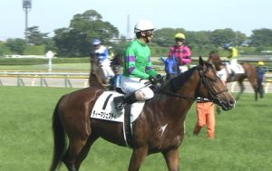 【競馬】セントライト記念でディーマジェスティが負ける展開を考える