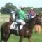 【競馬】セントライト記念でディーマジェスティが負ける展開を考える